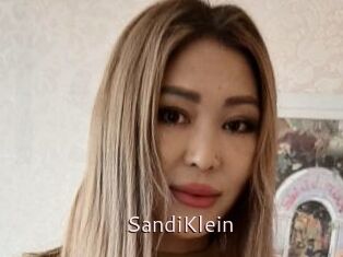 SandiKlein