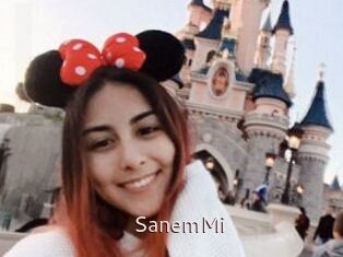 SanemMi