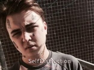 SelfDistruction