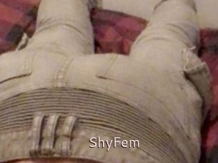 ShyFem
