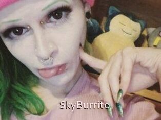 SkyBurrito