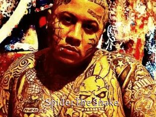 SpiderTheSnake