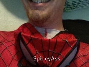 SpideyAss