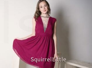 SquirrelLittle