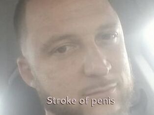 Stroke_of_penis