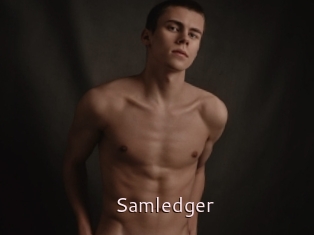 Samledger
