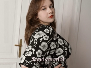 Sandymodel