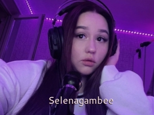 Selenagambee