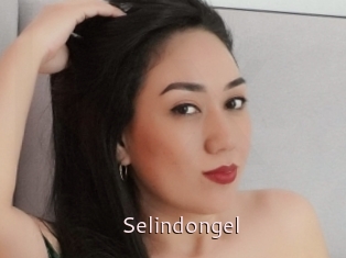 Selindongel
