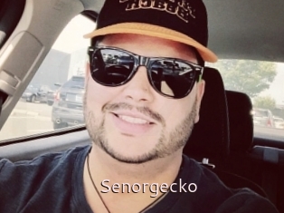 Senorgecko
