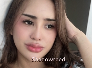 Shadowreed