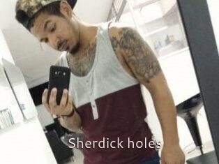 Sherdick_holes