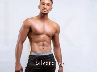 Silverdingo