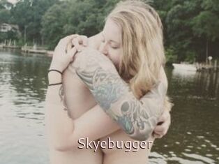 Skyebugger