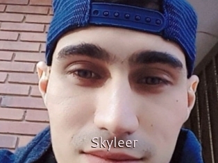 Skyleer