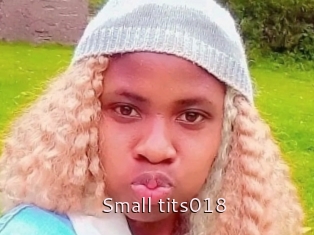 Small_tits018