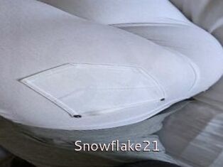 Snowflake21