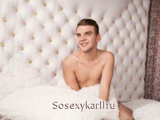 Sosexykarllfu