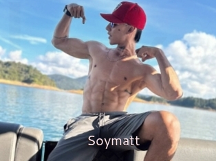 Soymatt
