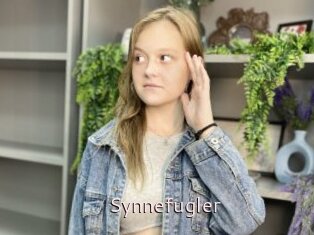 Synnefugler