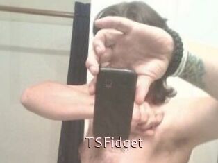 TSFidget
