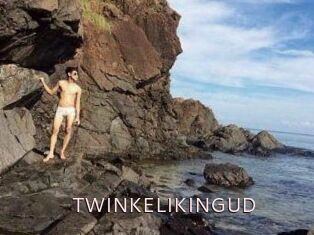 TWINKELIKINGUD
