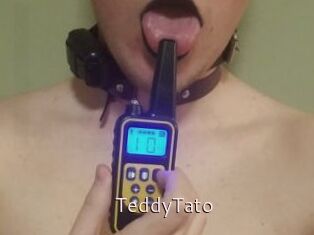 TeddyTato