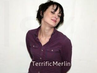 TerrificMerlin