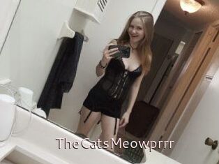 TheCatsMeowprrr