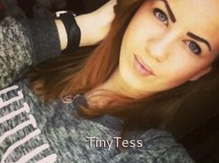 TinyTess