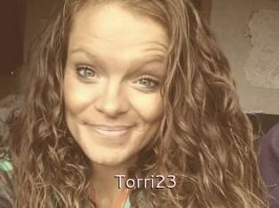 Torri23