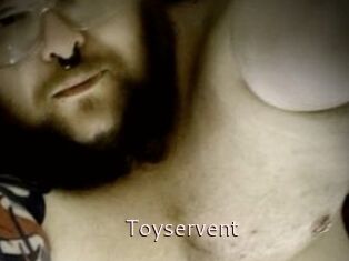 Toyservent