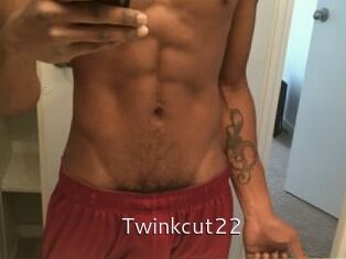 Twinkcut22