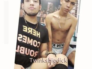 Twinksbigdick