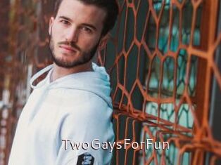 TwoGaysForFun