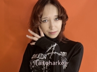Taiteharkey
