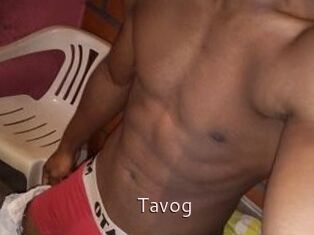 Tavog