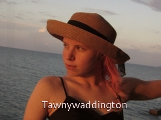 Tawnywaddington