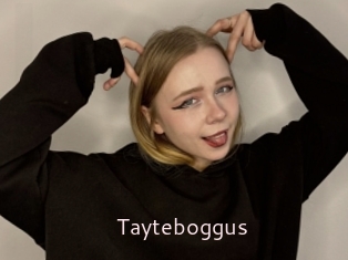 Tayteboggus