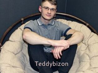 Teddybizon