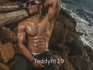 Teddyfit19