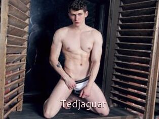 Tedjaguar