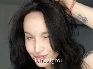 Tenesigrou