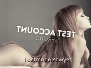 Testmodelsawyer