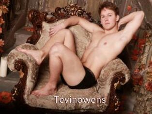 Tevinowens