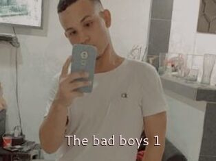 The_bad_boys_1