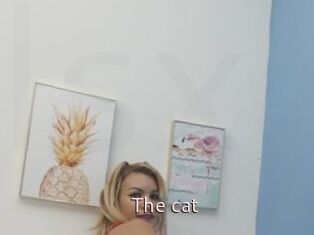 The_cat