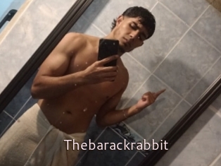 Thebarackrabbit