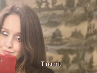 Tinamit