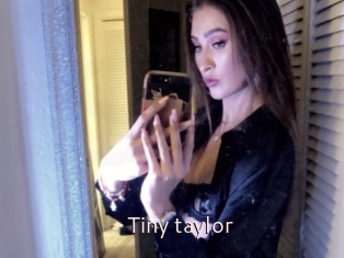 Tiny_taylor